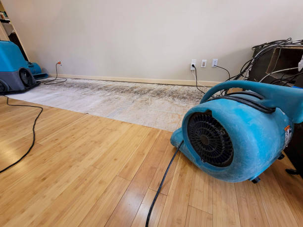 Professional Water Damage Repair technician working in Laingsburg, MI